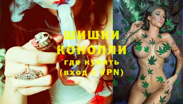 MESCALINE Новозыбков