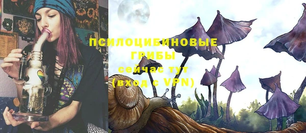 дурь Новокубанск