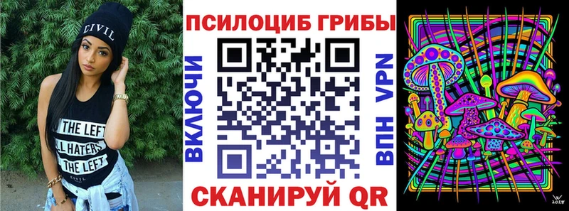 ссылка на мегу маркетплейс  Торжок  Псилоцибиновые грибы Psilocybe 